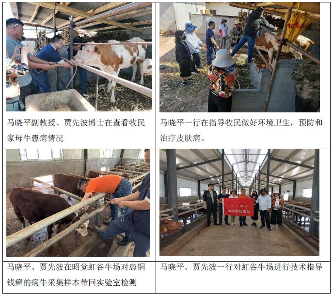 QQ截图20230602162727.jpg