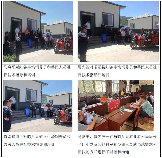 QQ截图20230602162747.jpg