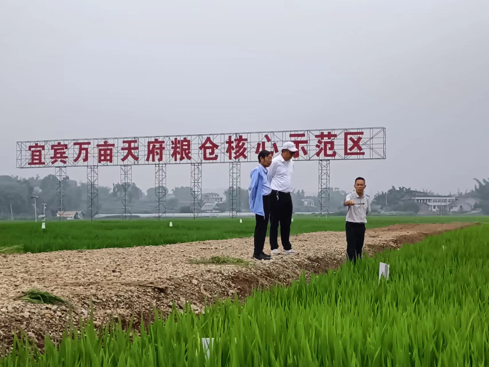 图片2.jpg