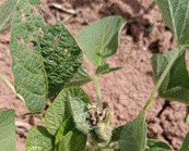 image010.gif