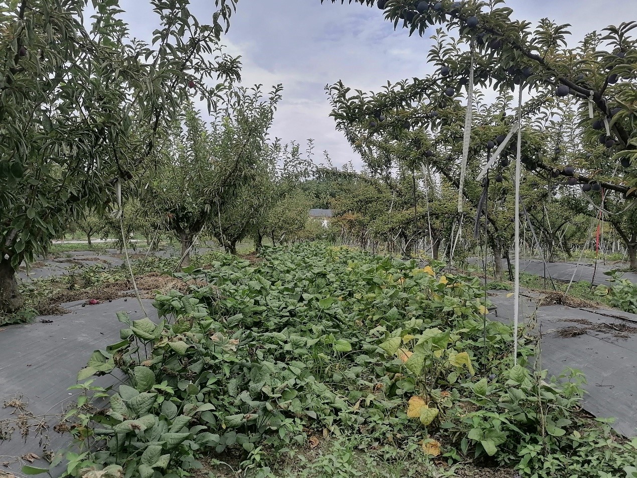 1690530705756006752.jpg 1690530705756006752.jpg