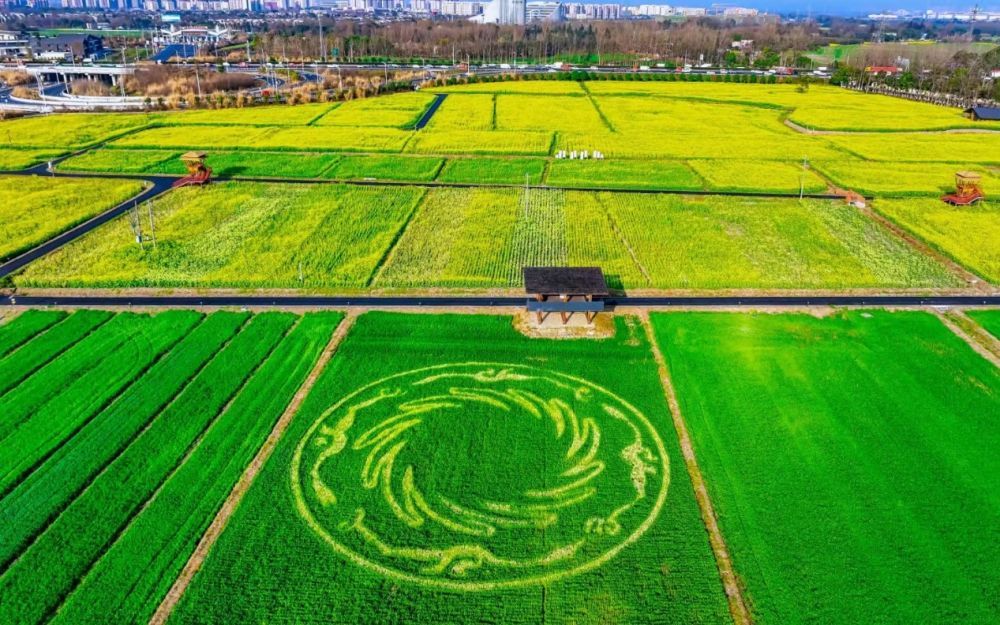 1712646032640098640.jpeg 2.jpeg