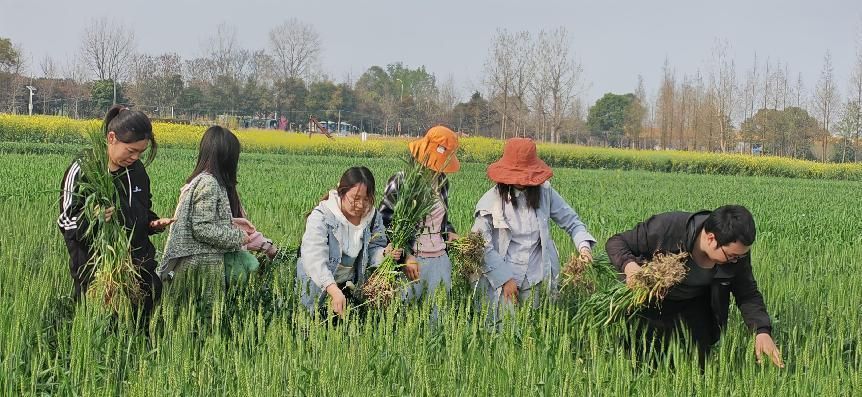 1712646069685053868.jpeg 4.jpeg