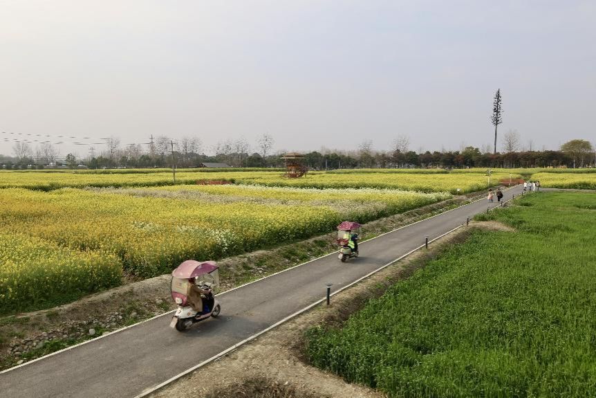 1712646078356010391.jpeg 5.jpeg