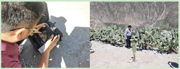 1712909718141016803.png 1.png