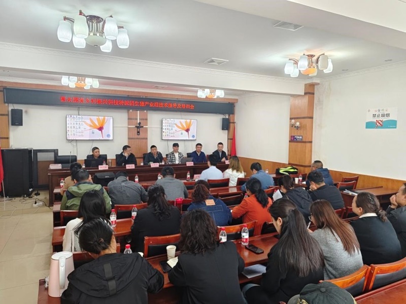 1715398187580006544.jpg 图片2.jpg