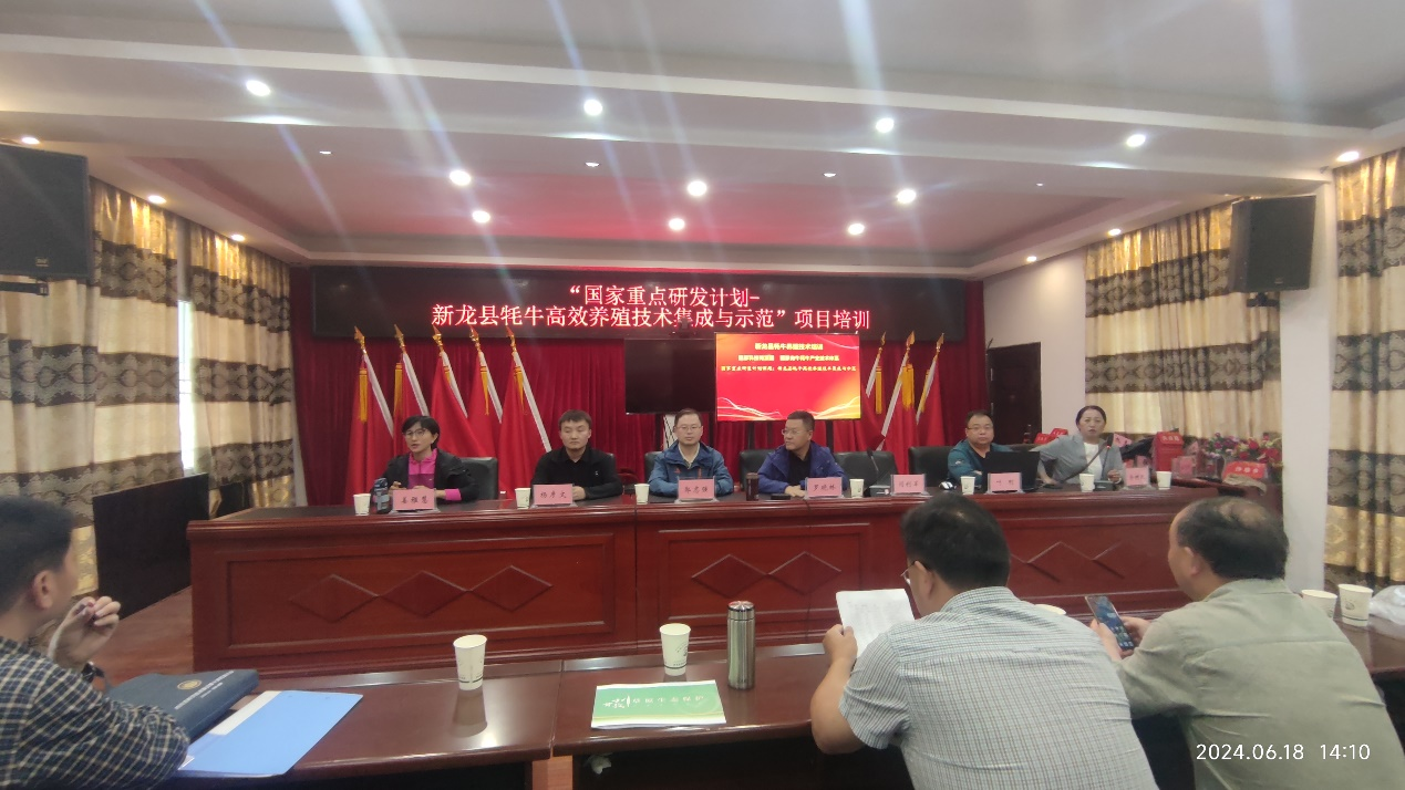 图片444431.png