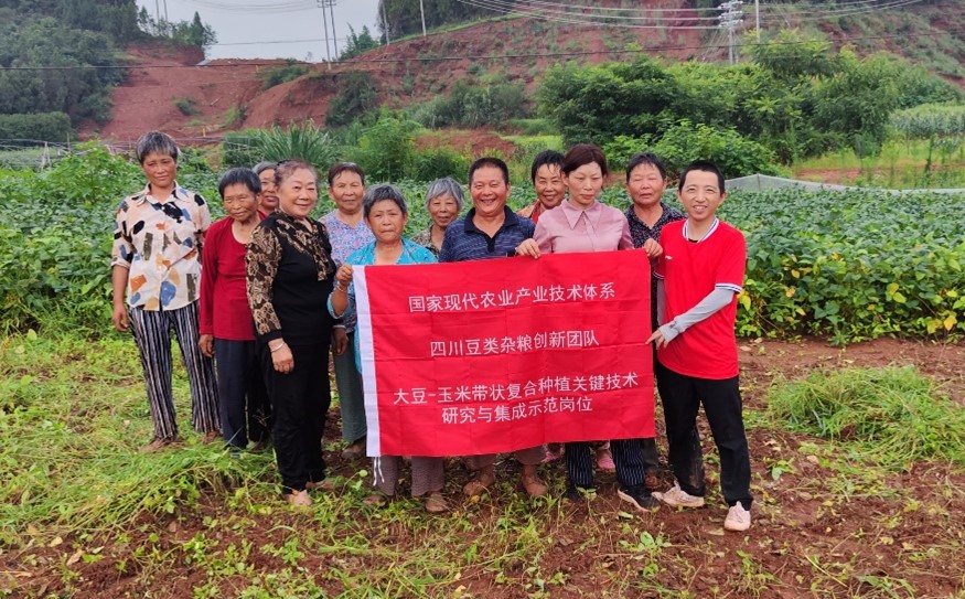 图片5.jpg