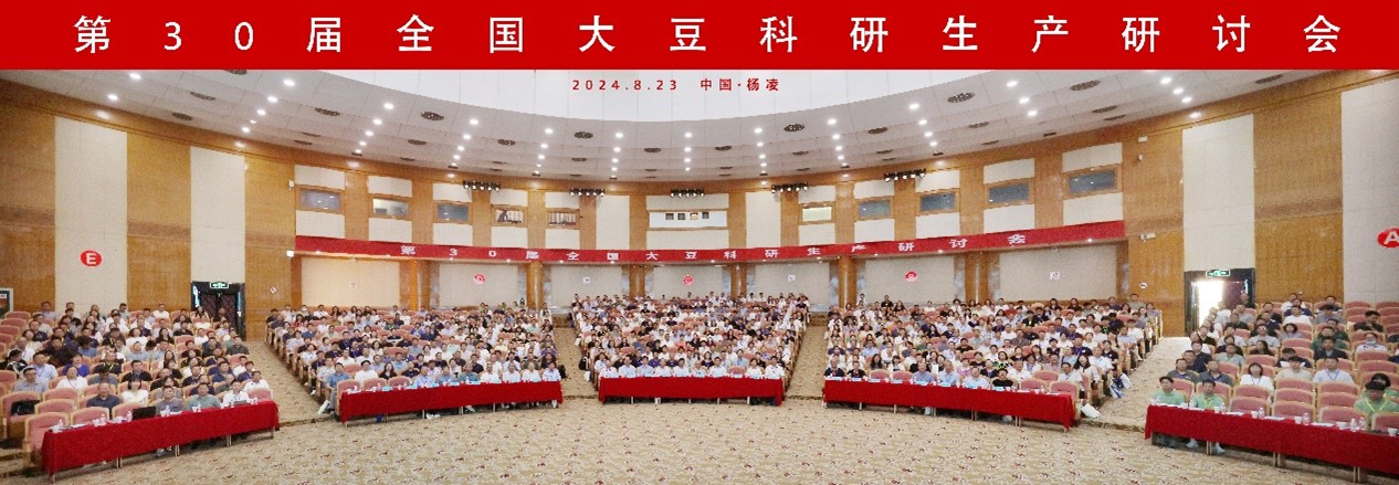 1724520708512088520.jpg 1724520708512088520.jpg