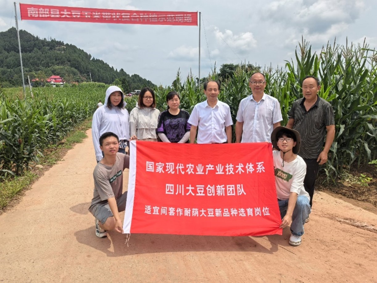 1724557145573008291.jpg 图片6.jpg