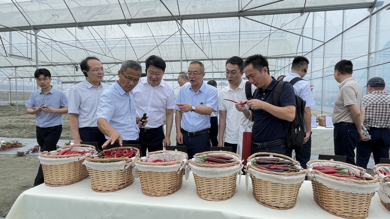 1725950928603071025.jpg 1725950928603071025.jpg