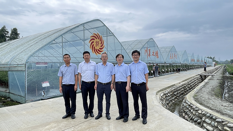 1725951254538026859.jpg 2.jpg