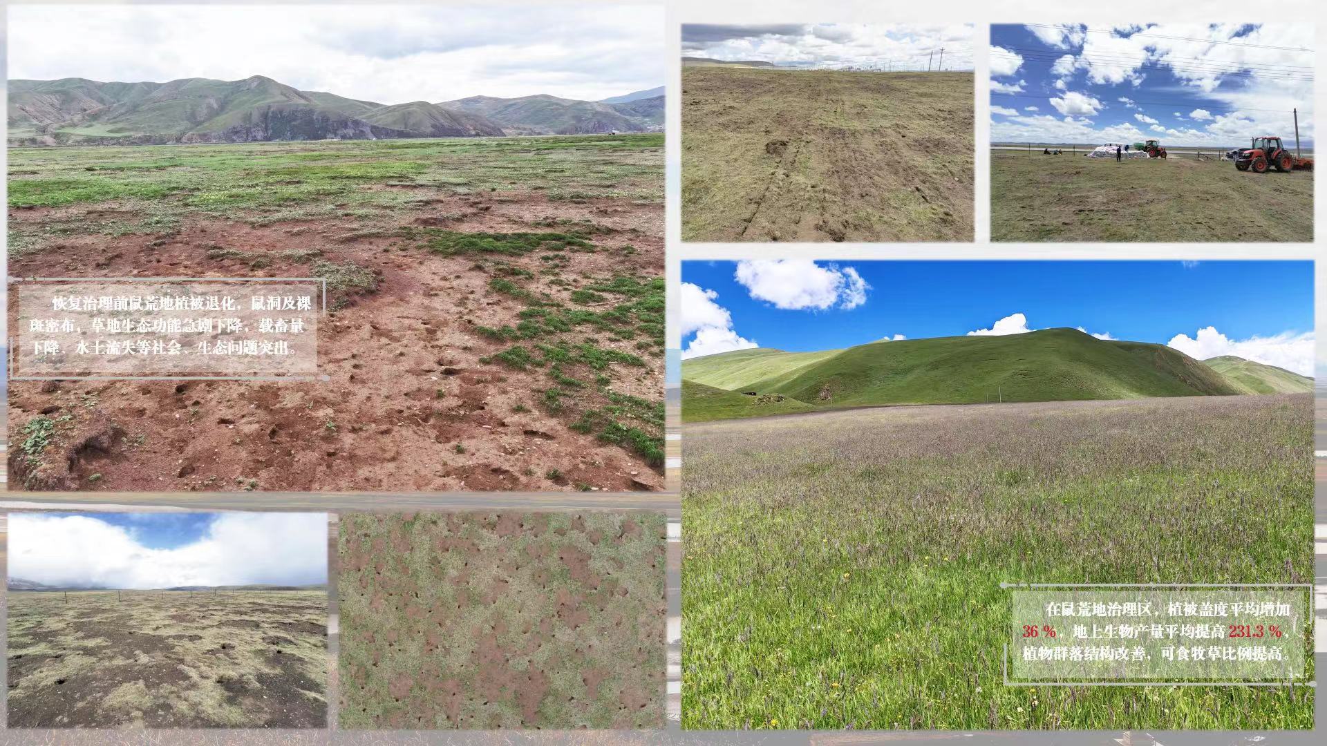 1727060252018069874.jpeg 902ed343d7afb1156929b6271a7a4595.jpeg