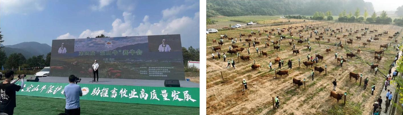 截图录屏_选择区域_20240930093219.png