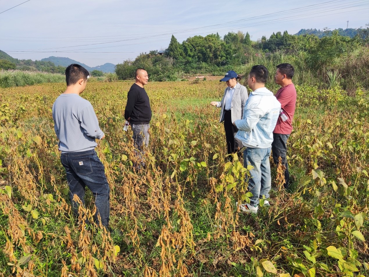 1729092171348019046.jpg 图片49.jpg