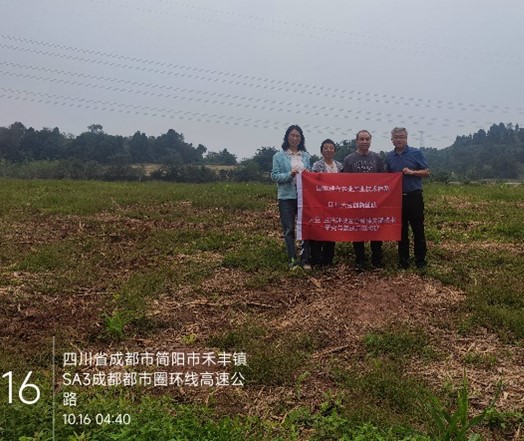 1729186547266005531.jpg 图片50.jpg