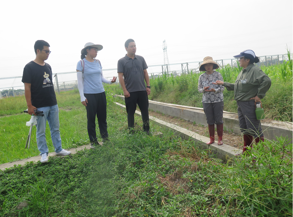 1729672831162028208.jpg 1729672831162028208.jpg