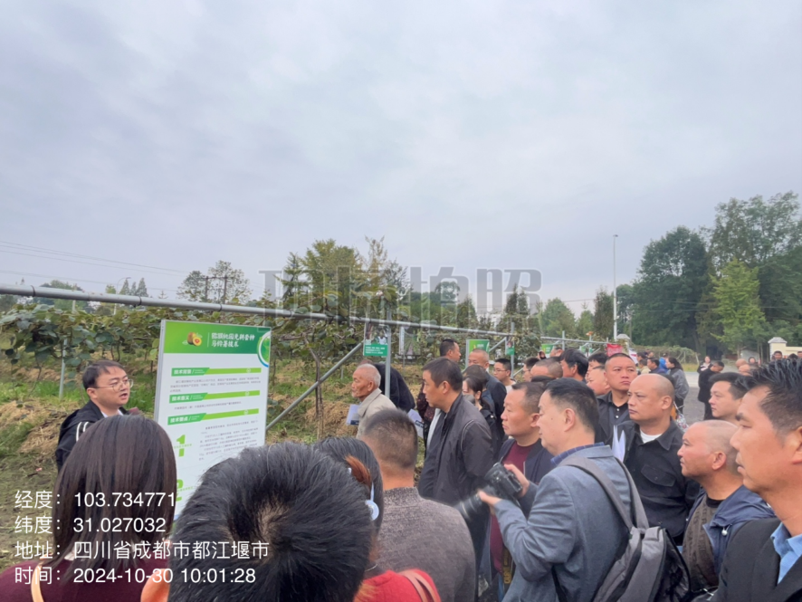 图片3 (2).png