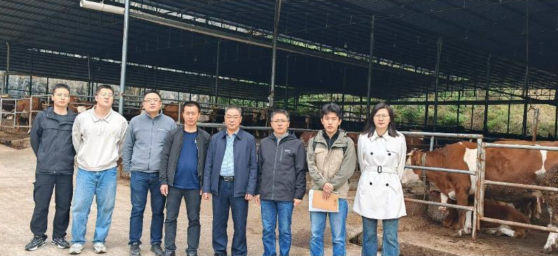 截图录屏_选择区域_20241111103224.png
