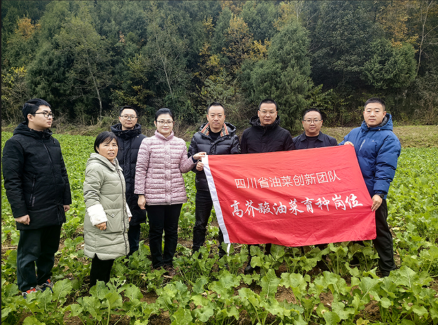 微信图片_20241214174555.png