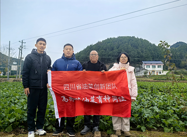 微信图片_20241214174609.png
