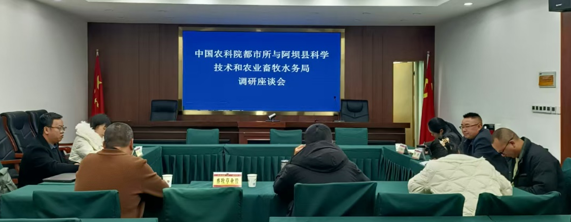 1734664601528068021.png