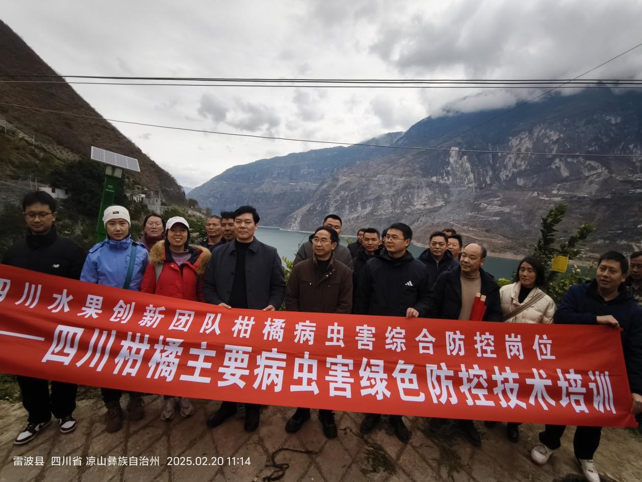 1740533295808063101.jpg 1.jpg