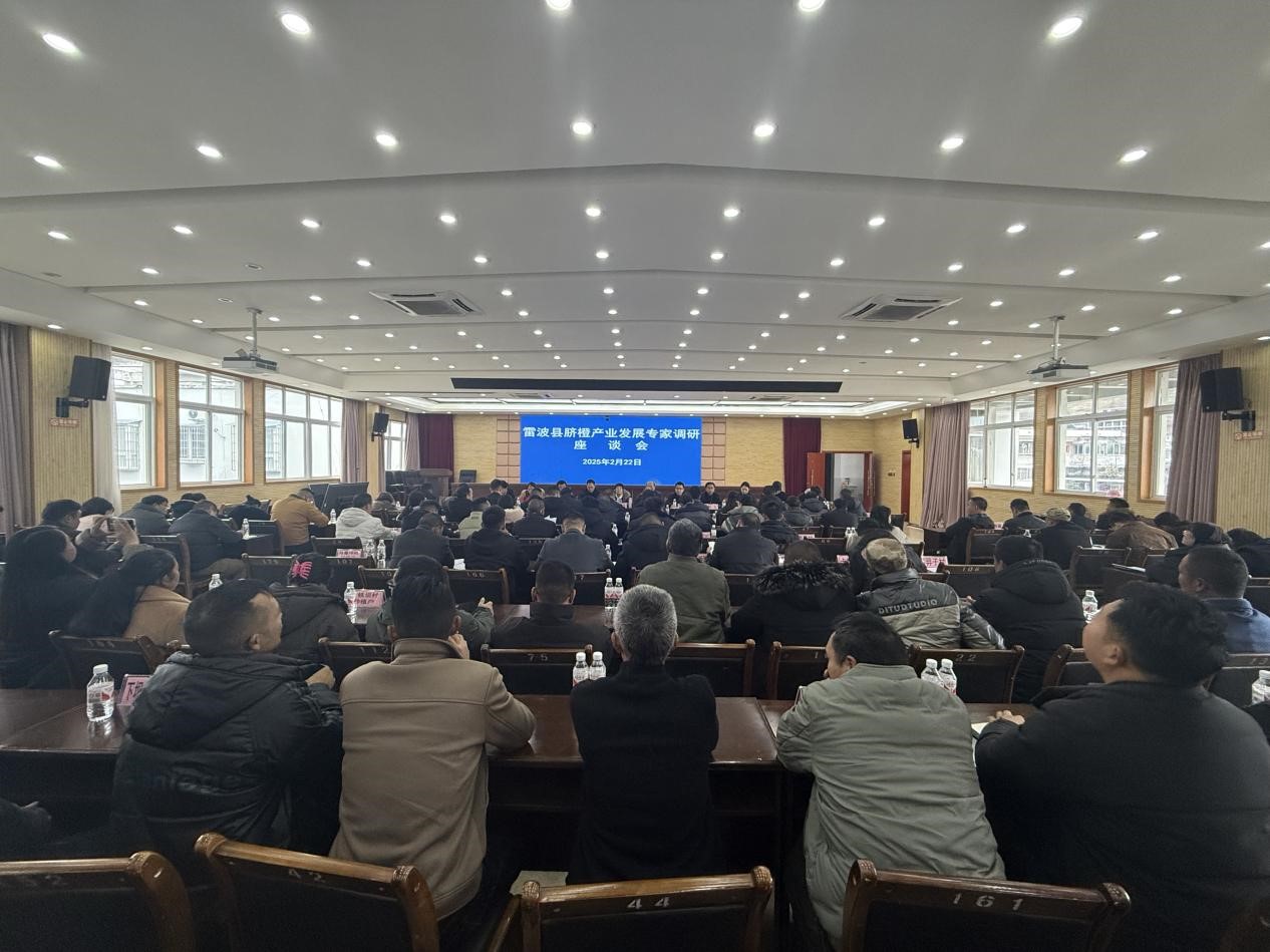 1740533313283045026.jpg 2.jpg