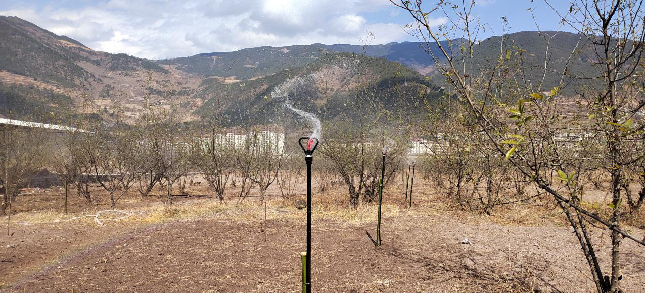 1741596590643058074.png 2025-3-10.png