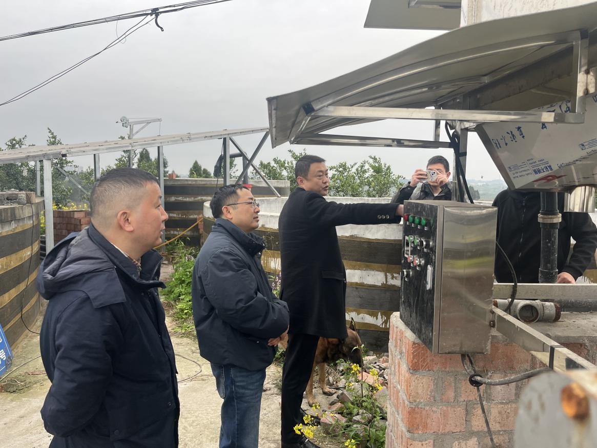 1742283698261049769.jpg 1.jpg