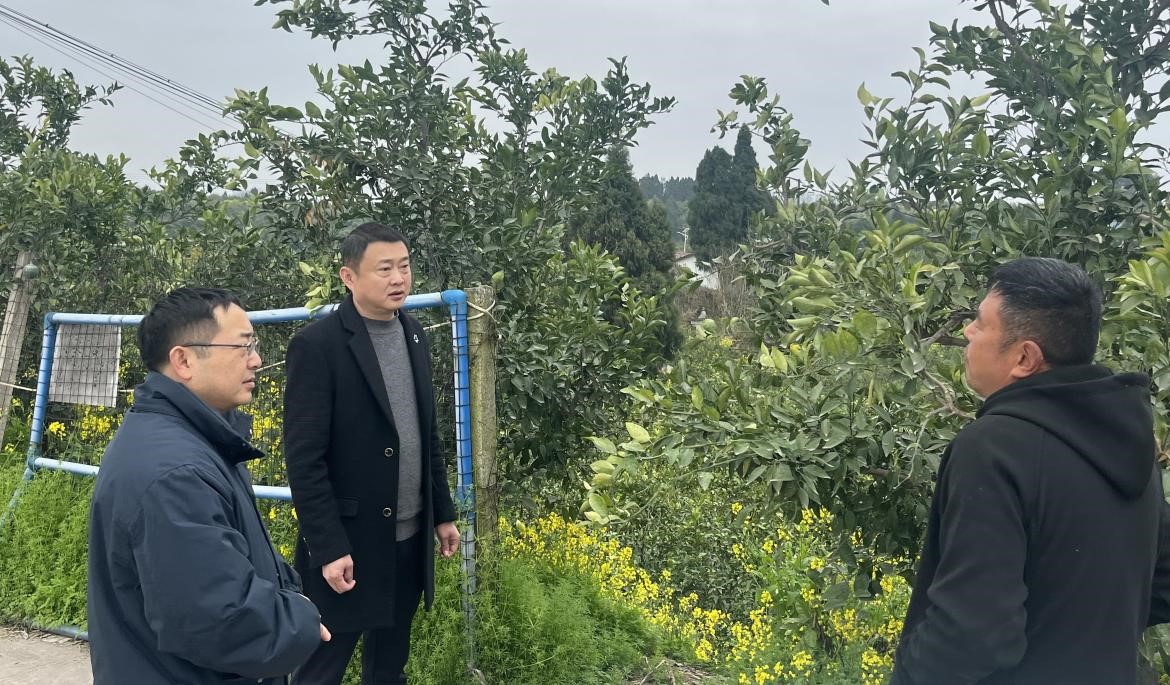 1742283707182032832.jpg 2.jpg