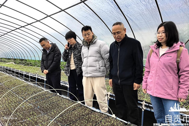 1742386995424084623.jpg 2.jpg