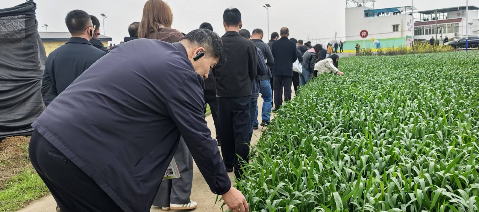 1742540637313039088.jpg 1742540637313039088.jpg