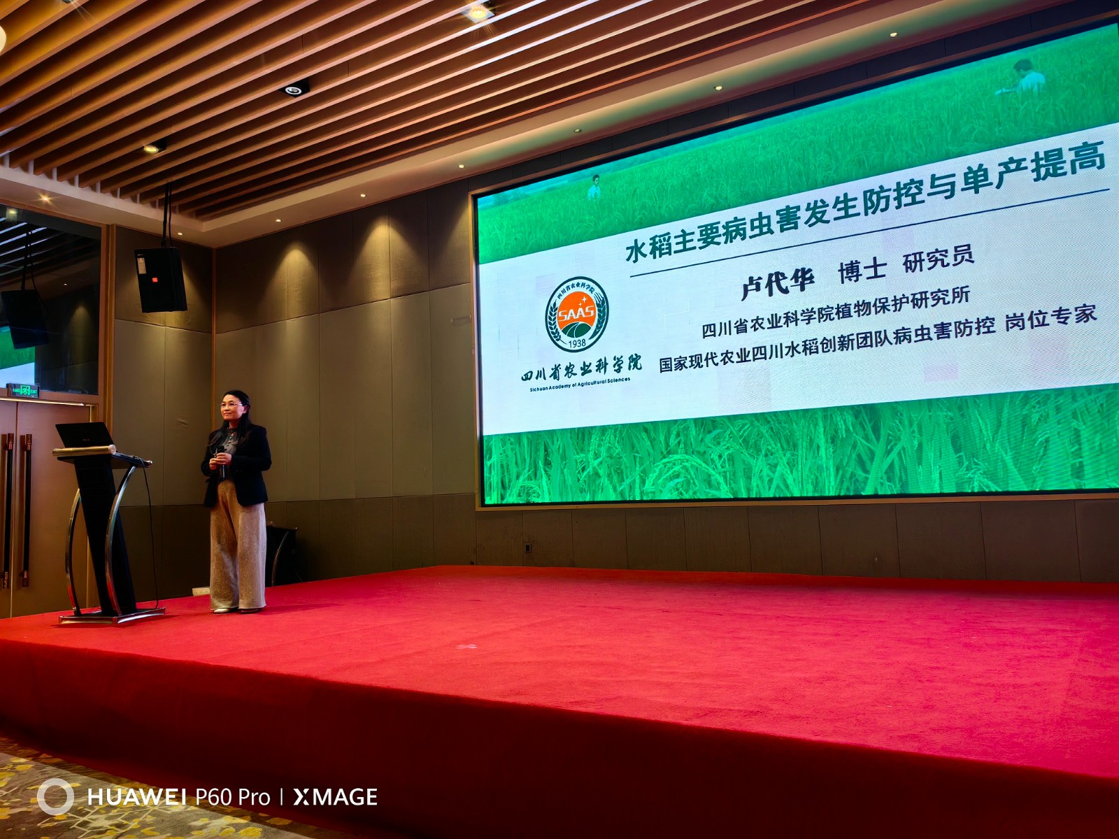 1742540637717038913.jpg 1742540637717038913.jpg