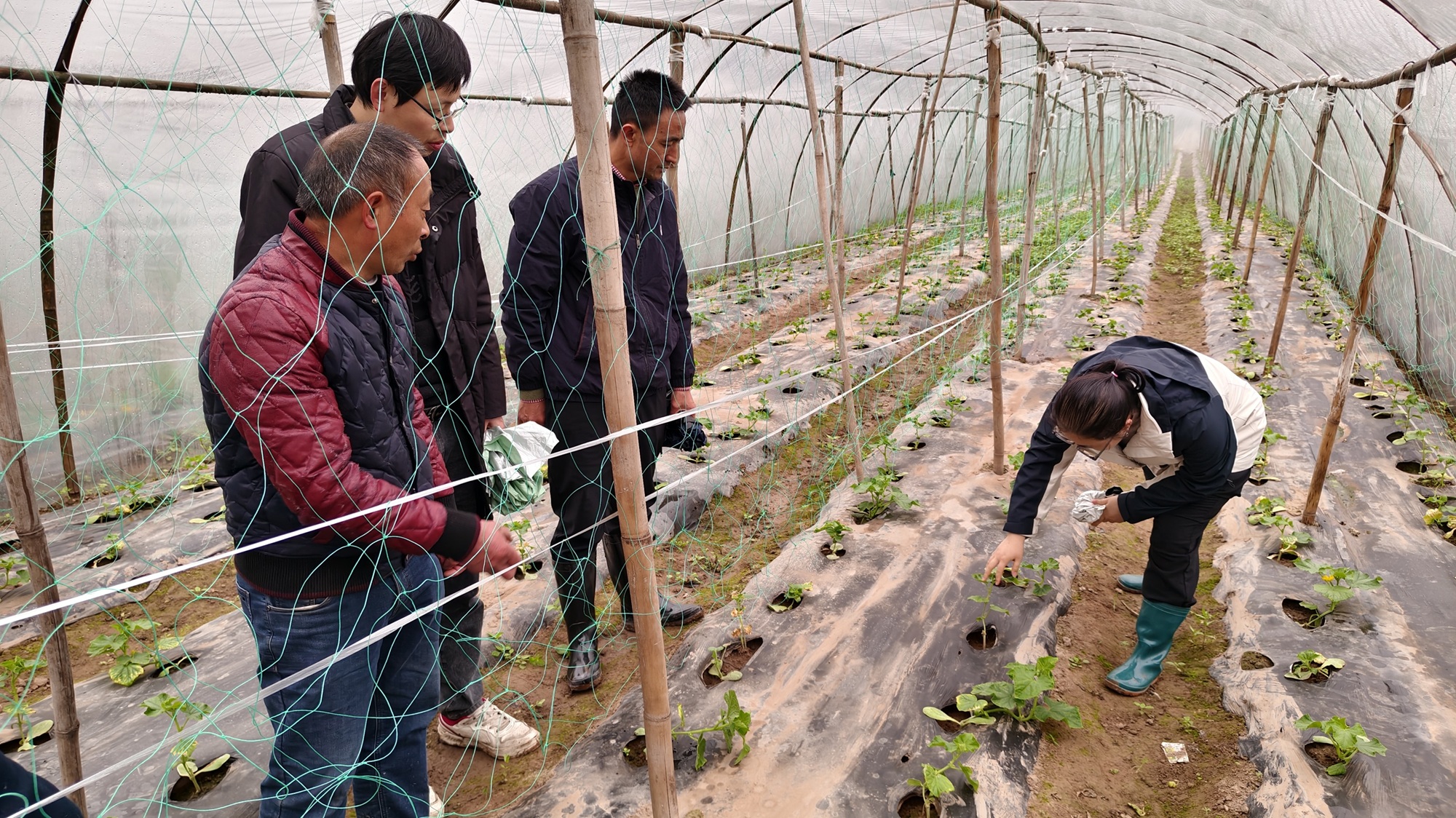 1742779299125058686.jpg 微信图片_20250324092009.jpg