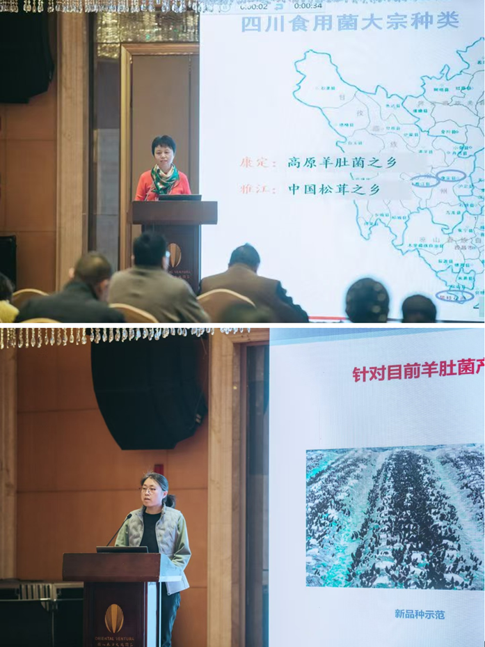 1743238943733096030.png 1743238943733096030.png