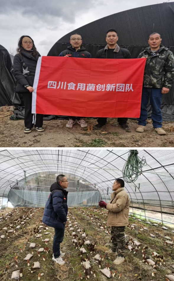 1743251928698054843.jpg 1743251928698054843.jpg