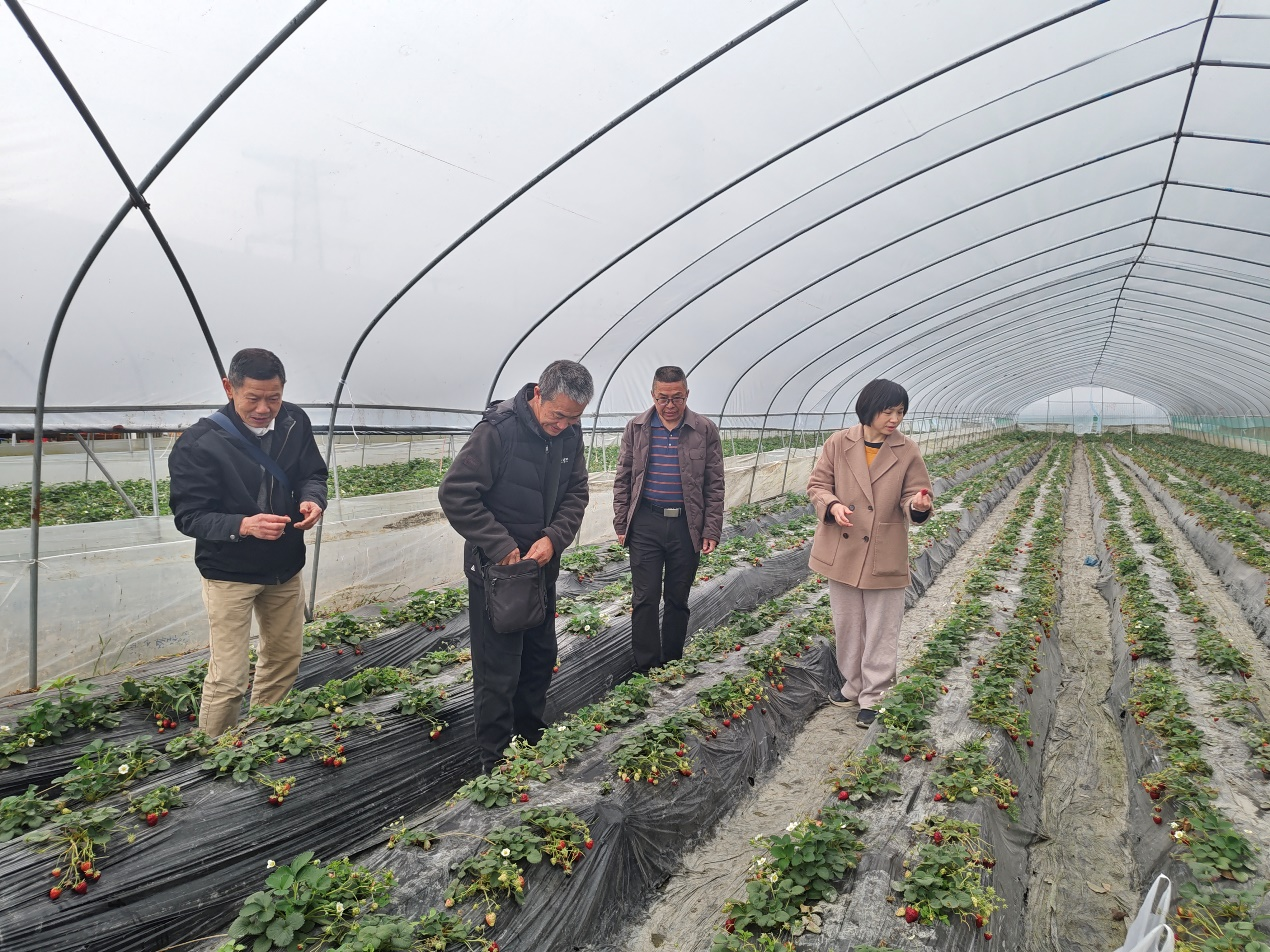 1743394864445030482.png 图片1.png