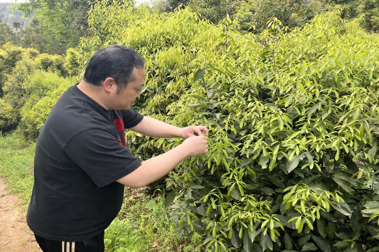 1744962654039053610.png 图片7(1).png