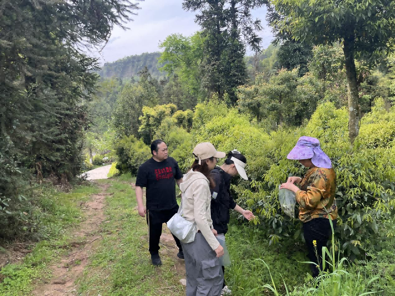 1744962725105043081.png 图片8(1)(1).png