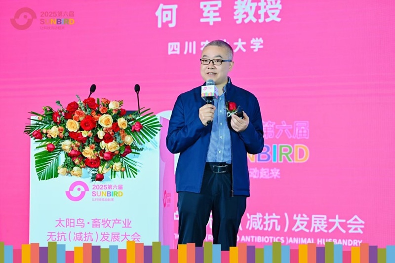 1745199570650065259.jpg 图片2.jpg