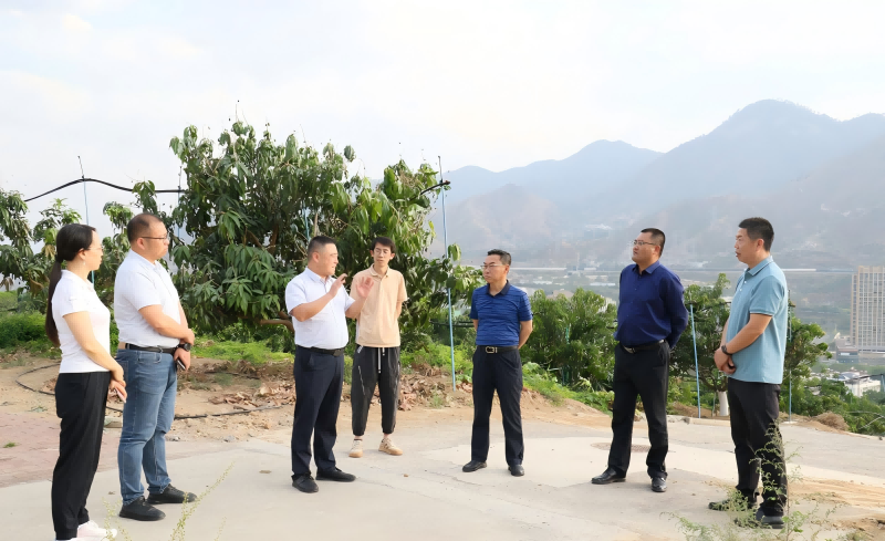 1746774939913003997.png 1111(1).png