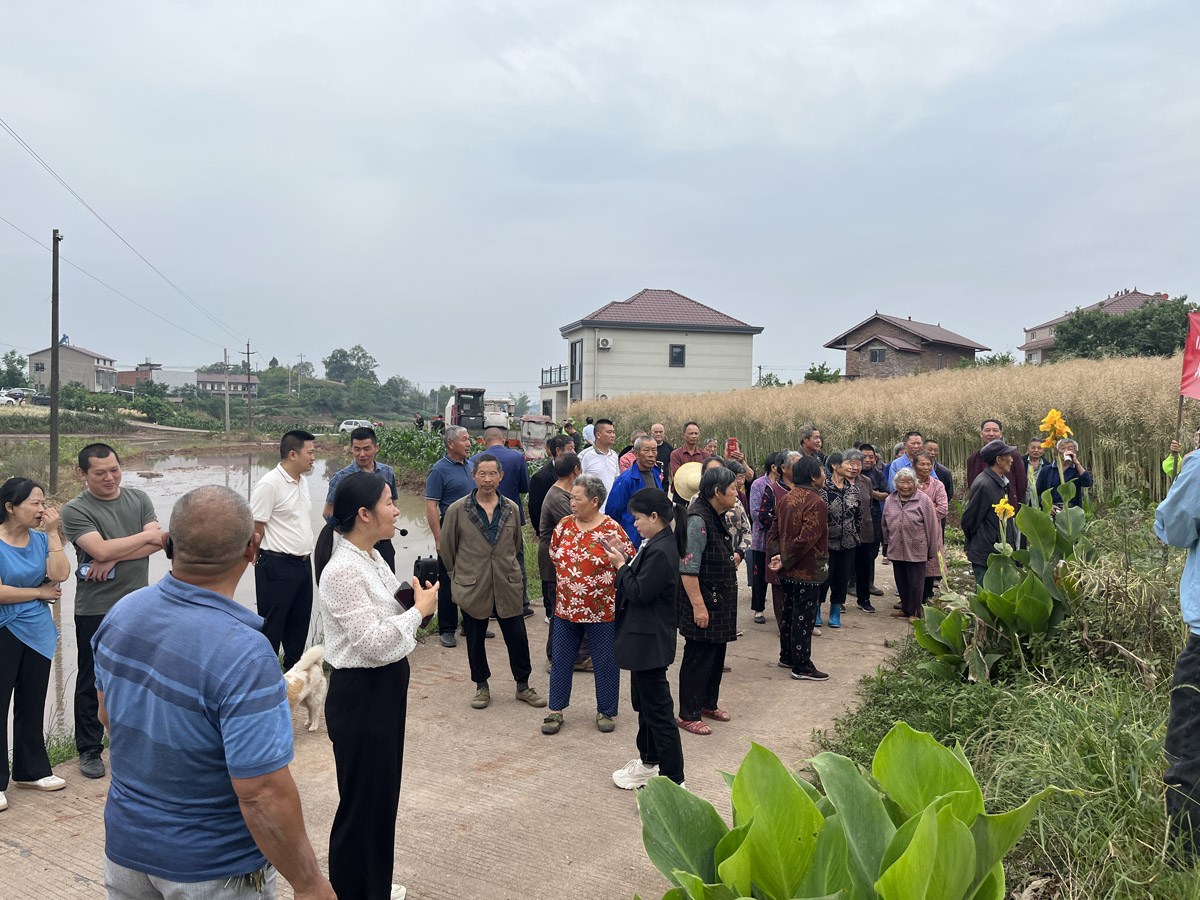 2025-5-16 资中 2.jpg