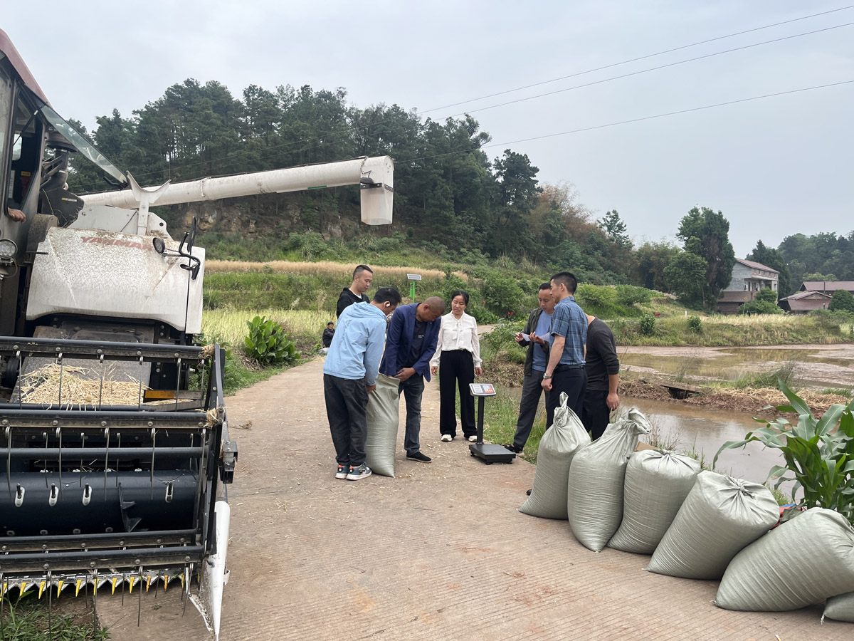 2025-5-16 资中 3.jpg