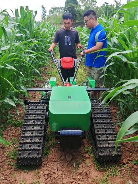 1748938073531071305.jpg 图片12.jpg