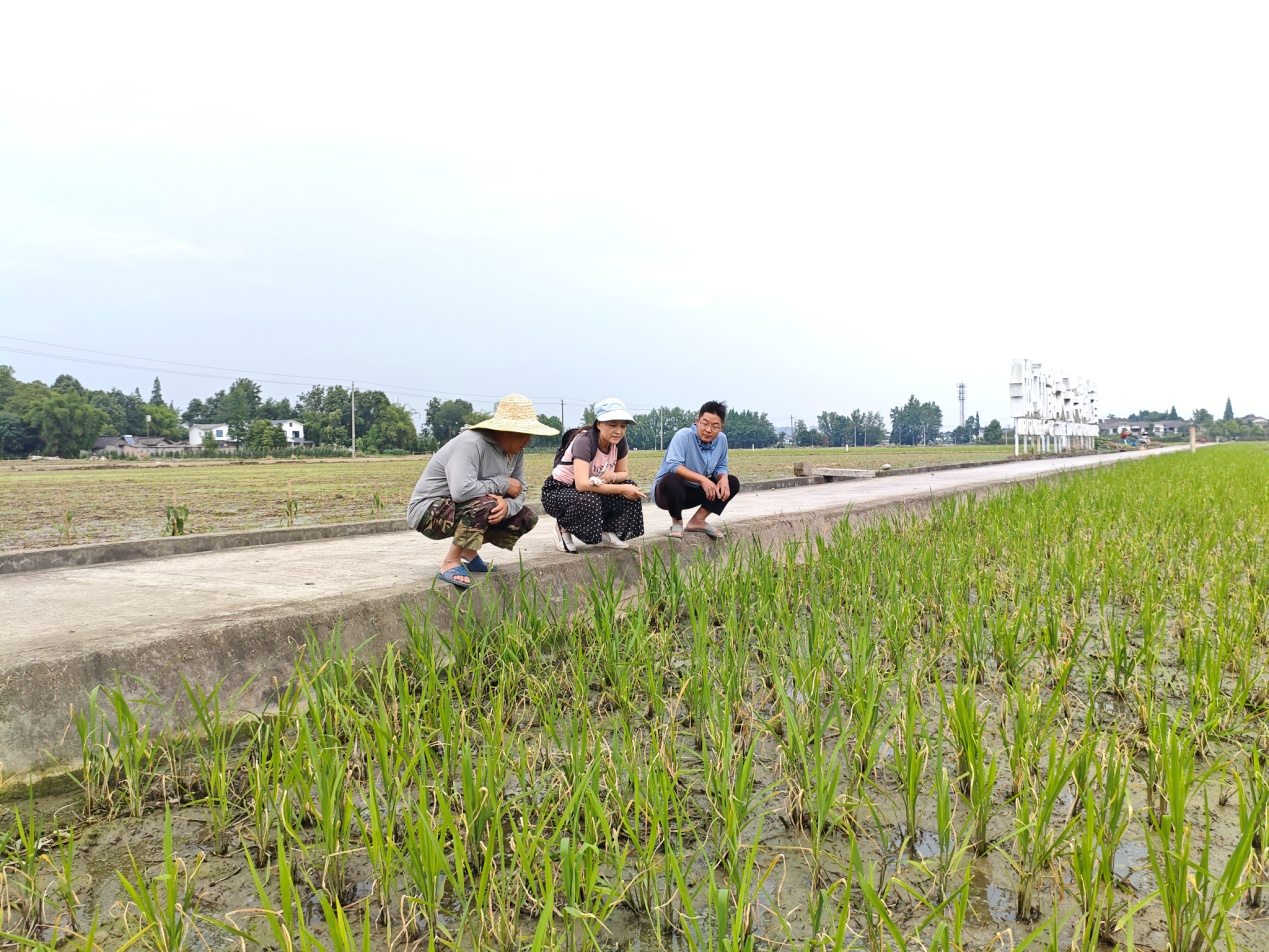 1749106043780089447.png 1749106043780089447.png