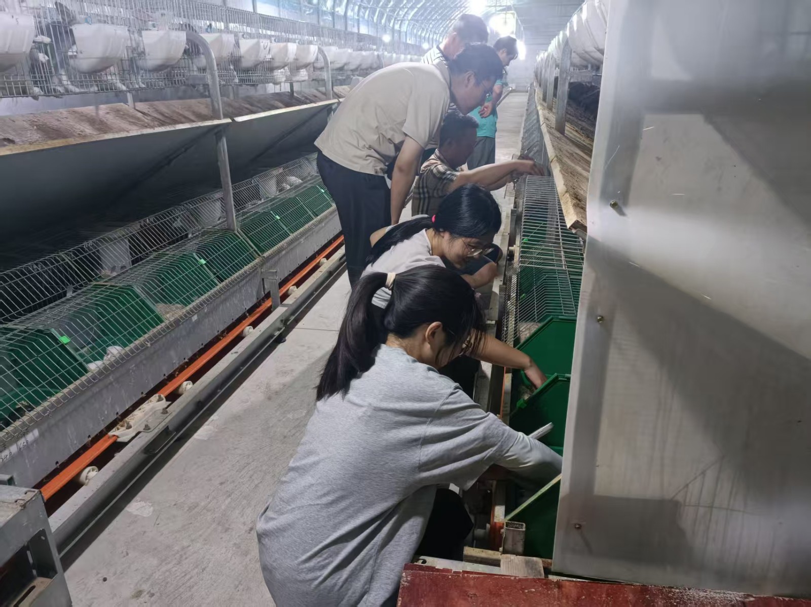 微信图片_20250717092134_43.jpg
