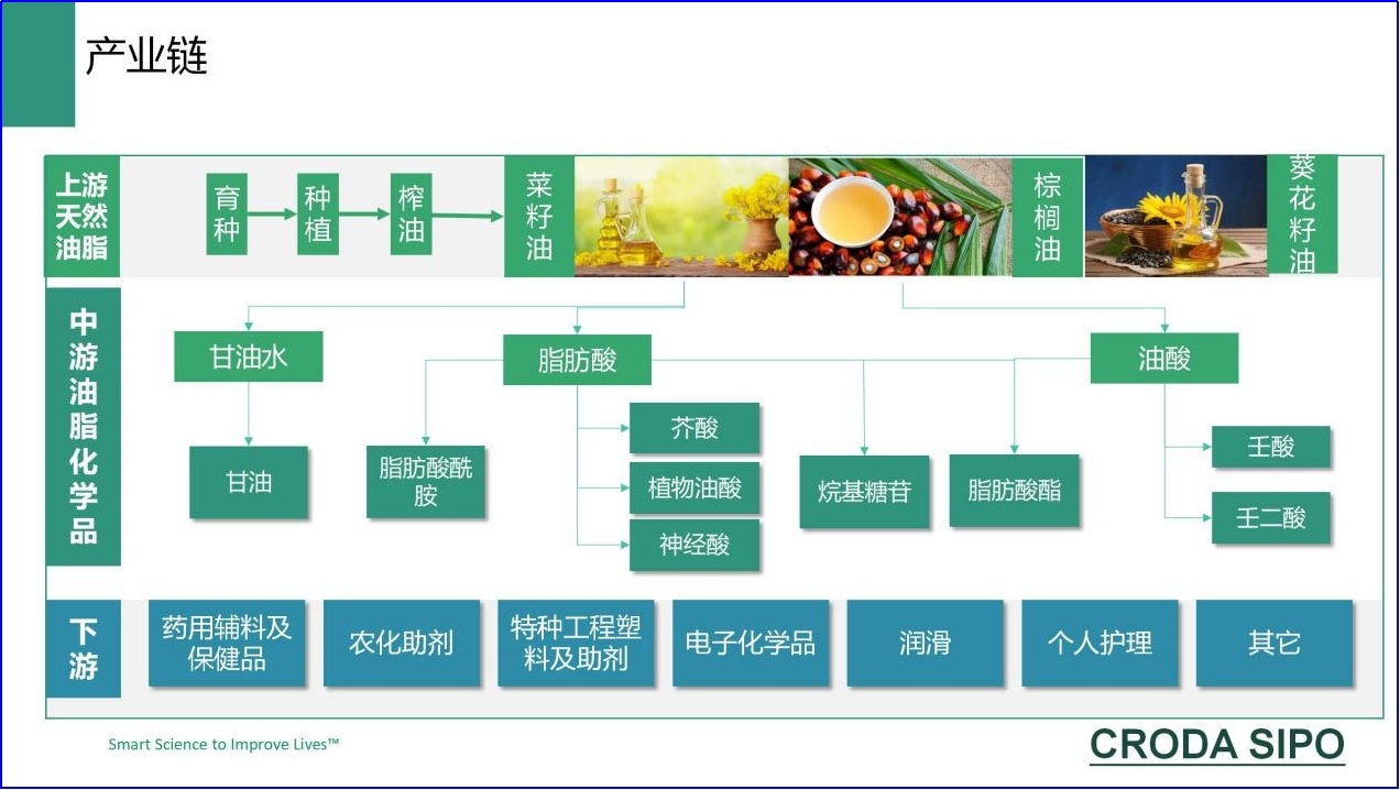 1753167004810061192.jpg 图片1.jpg