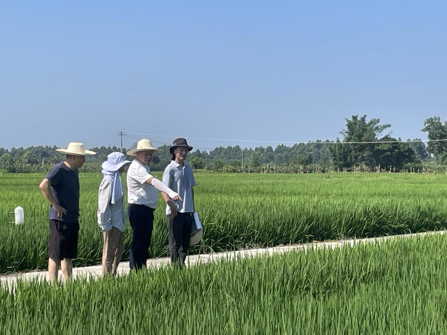 1753780008328084175.png 1753780008328084175.png