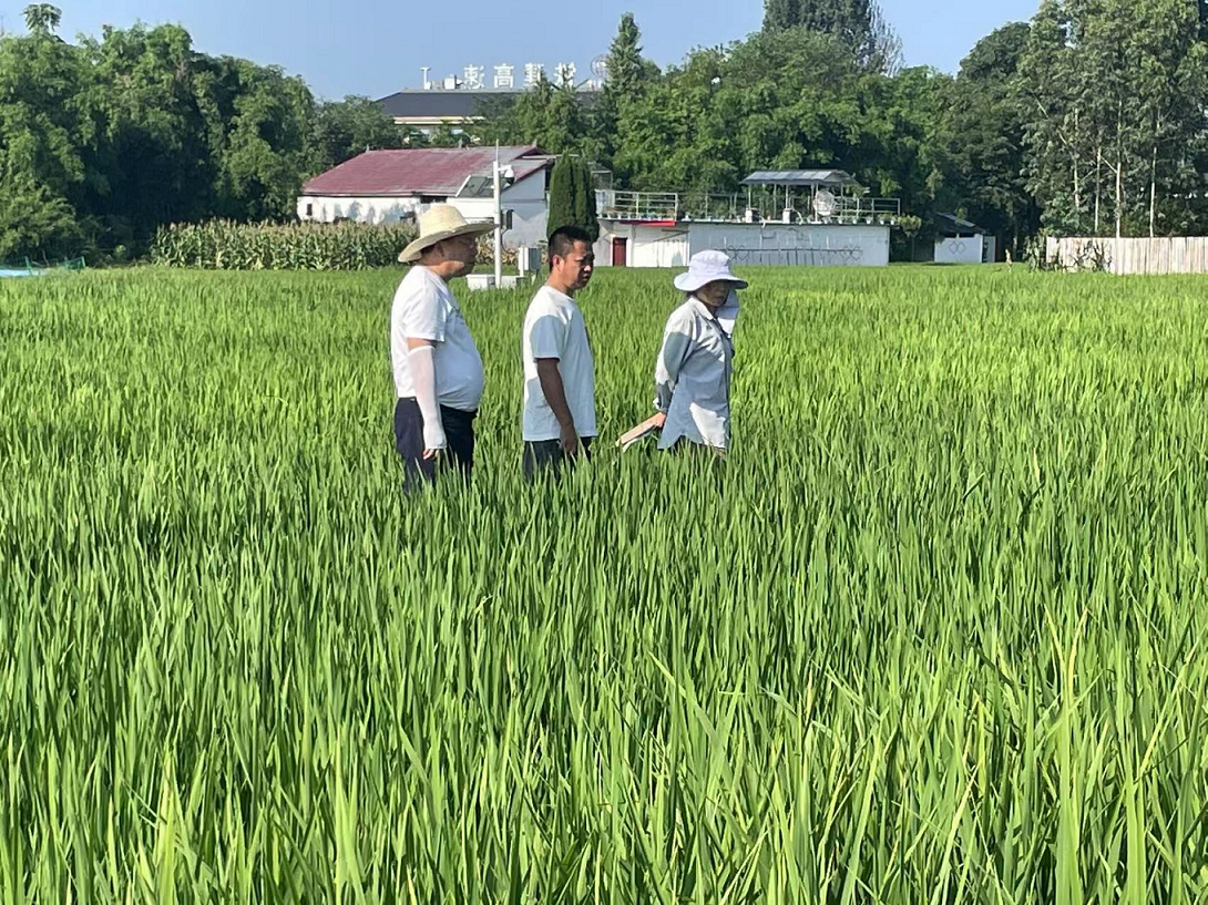 1753780015794093614.png 1753780015794093614.png